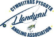 Teifi Fishing Logo